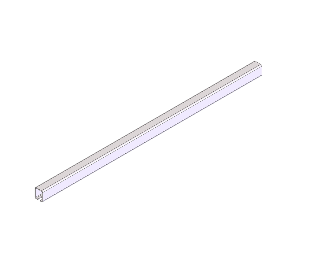 Conveyor Track, L5FT, 7GA, Stainless Steel