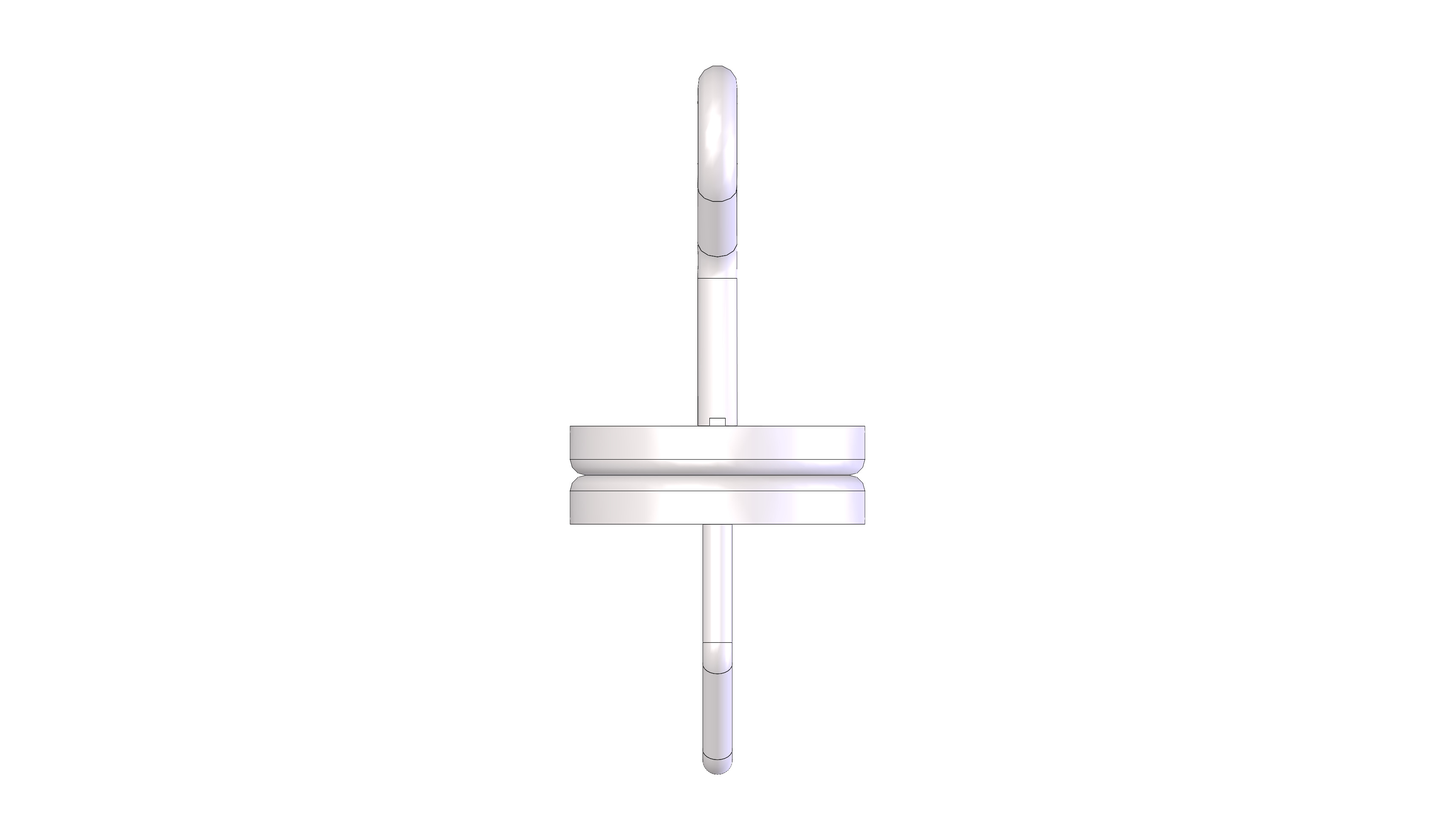 Swivel Hook, 75LB Capacity