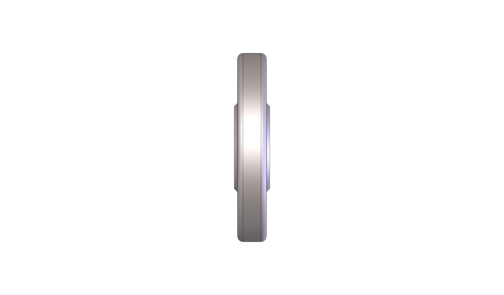 Conveyor Wheel Vertical, Caged Bearings